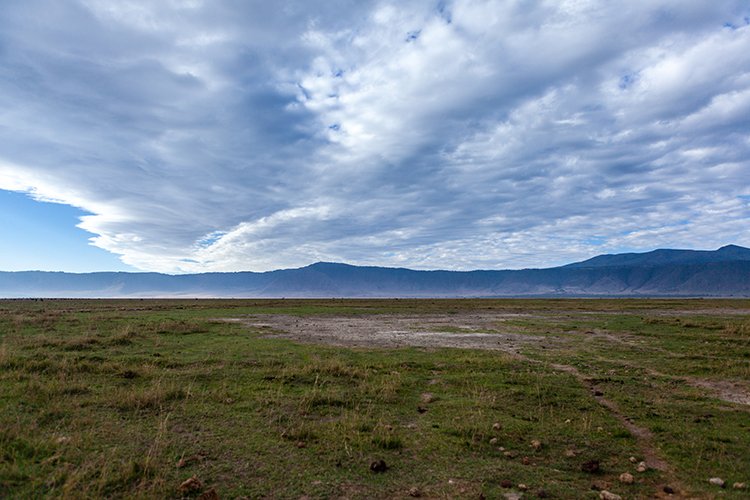 TZA ARU Ngorongoro 2016DEC26 Crater 019